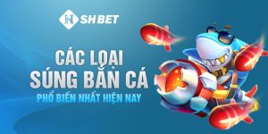 Cac-Loai-Sung-Ban-Ca-Pho-Bien-Nhat-Hien-Nay