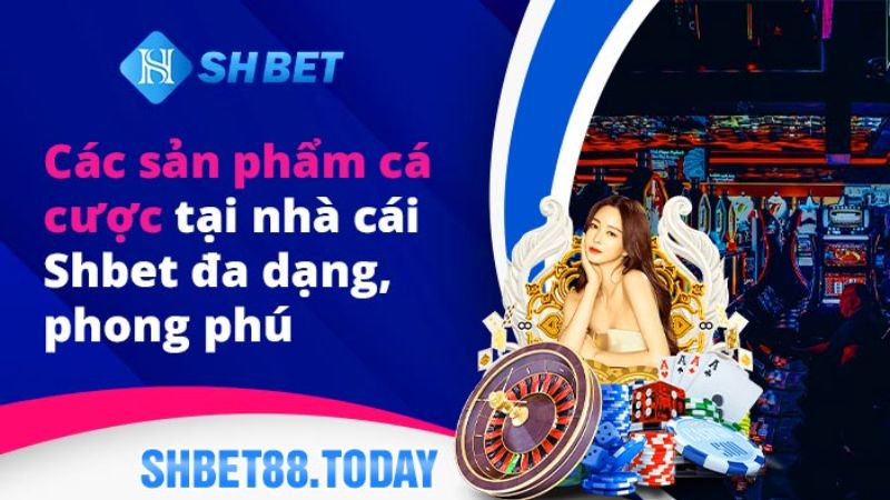 Lựa chọn SHbet là điểm đến cá cược